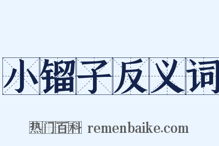 小镏子反义词是什么意思的图片
